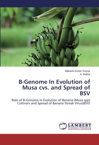 B-Genome in Evolution of Musa CVS. and Spread of Bsv