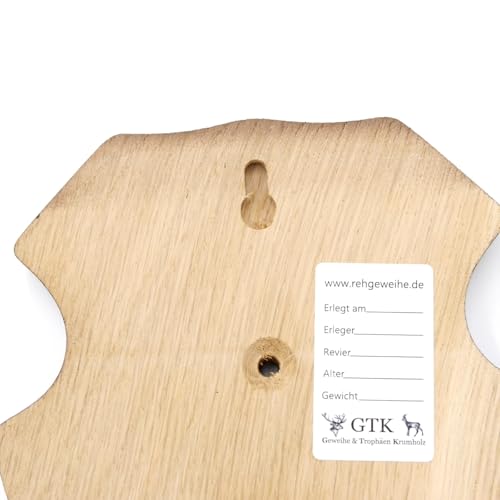 GTK - Geweihe & Trophäen KRUMHOLZ 5 Stück REH Bock Schild Trophäenschilder mit 1 Kieferfach in Eiche dunkel AF 21 x 13 cm
