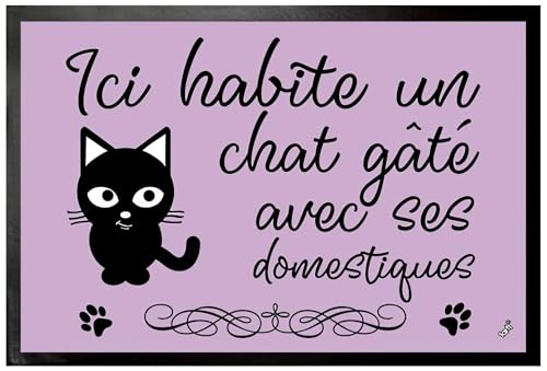 1art1 Chats Ici Habite Un Chat Gâté avec Ses Domestiques Paillasson Essuie-Pieds 60x40 cm