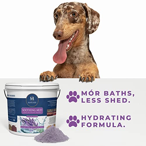 Image of Madra Mor Soothing Dog Essentials Mud Bath | Dog Bath Dog Hot Spot Treatment for Dog Allergy & Dog Itch Relief | Dog Coat Skin Care Products | 7.5lb Pail w Worldwide Nutrition Multi Purpose Key Chain