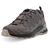 Salomon レディース Xa Pro 3D V9 ゴアテックススニーカー, Plum Kitten/Black/Gull, 22.5 cm