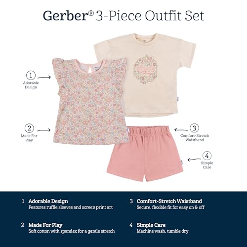 Image of Gerber Baby & Toddler Girls Shirt and Shorts Set