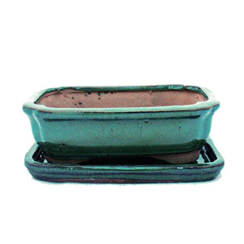 Bonsai pot avec soucoupes-vert-taille 2–g12 modèle rectangulaire-longueur : 15,5 cm b - 11,5 cm-hauteur : 4,5 cm