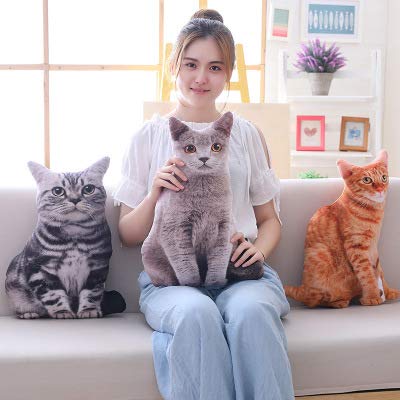 Nicole Knupfer 3D Zierkissen mit waschbarem Bezug, Cute Katze, Dekokissen, weiches Kopfkissen, Sofakissen Couchkissen Home Decoration, geeignet für Allergiker (C,50cm)