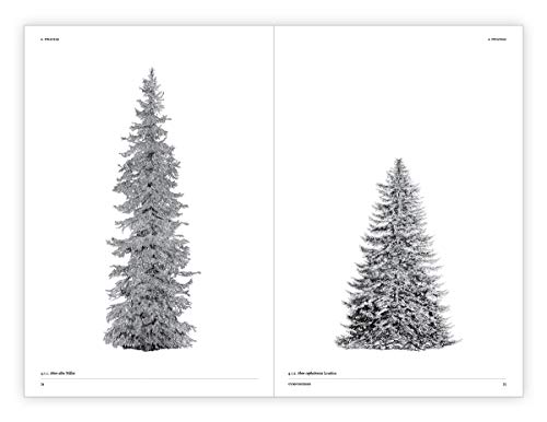 the architecture of trees