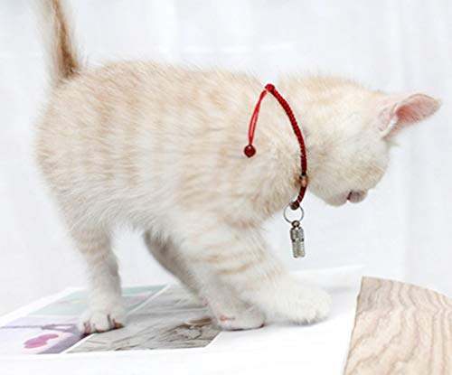 Concisea 10 Stück Adressanhänger Hundehalsband,Katzen ID-Tags für Halsbänder für Hunde Katzen, Anti Lost Namensschild Halsbandanhänger Haustier ID Tag Tiermarke Anhänger zur Tierkennzeichnung