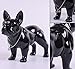 WUBIANJIE Black French Bulldog Statue, Standing Dog with Silver Necklace, Frenchie Decor for Home & Garden, French Bulldog Gifts, Ideal for Living Room, Kitchen, Bedroom, Entryway