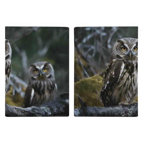 Étui de protection pour passeport cuir hibou fini les papiers perdus