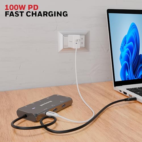 Honeywell Newly Launched 10-in-1 Type C Dock with Dual 4K HDMI, 1GBPS RJ45 Ethernet Port, 2xUSB 3.0, 1xUSB 2.0 & Type C 3.0 PD100W, VGA port, SD & MicroSD Slot, for All Type C Devices- Windows/MacBook - Image 8
