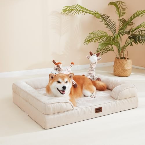 EHEYCIGA Orthopädisches Hundebett Kleine Hunde, 76x51cm, Memory Foam Hundekorb Mittelgroße Hunde, Waschbar Hundesofa Wasserdicht rutschfest, Hundecouch mit Hohem Rand, Beige