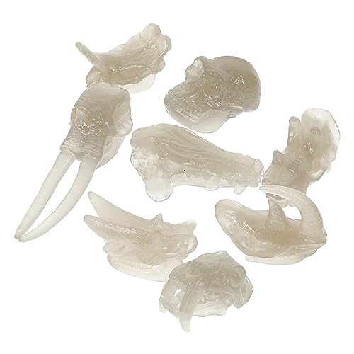 Sosoport Modelo De Hueso De Dinosaurio PVC Noctilucente para Niños, Cráneo De Dinosaurio Educativo, Tamaño Único, Juguete Infantil para Aprendizaje y Decoración, Juego