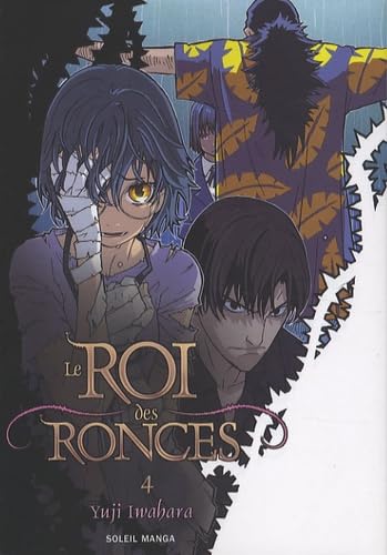 Le Roi Des Ronces — Tome 4
