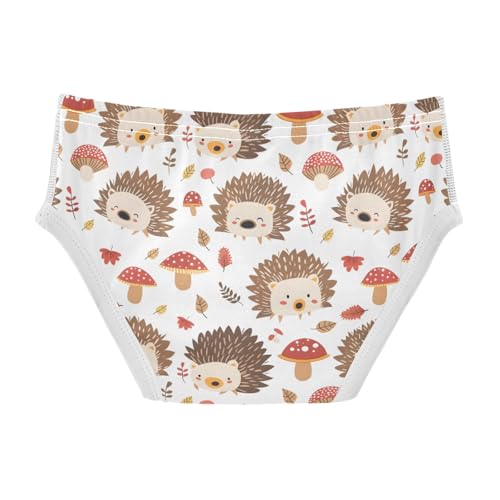 Cartoon Hedgehog and Mushroom Boys' Underwear 100% Cotton Boys' Briefs Soft Toddler Underwear2