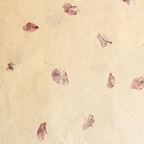 Bodhiartistry Handmade Reusable All Natural Gift Wrapping/Packaging Art & Craft Paper With Bougainvillea Leaves 5 Sheets 20"X30" #TOP2