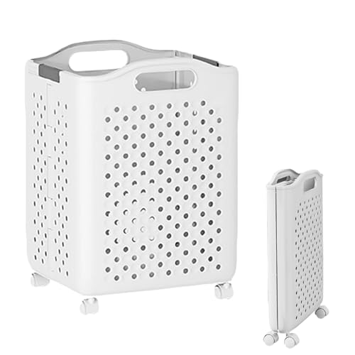 JS ܂肽 󂩂  e t LX^[t ܂肽݃oXPbg JS XizCgC47Lj (M)