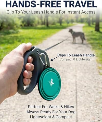 Collapsible Dog Bowls for Travel, 2-Pack Dog Portable Water Bowl for Dogs Cats Pet Foldable Feeding Watering Dish for Traveling Camping with Carabiners, BPA Free (Green+Blue, Medium) — view 6