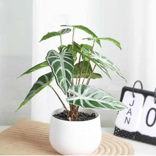 人工観葉植物 消臭・抗菌 ミニフェイクグリーン 卓上用 水やり不要 造花 インテリア雑貨 おしゃれ ギフト対応 母の日 父の日 プレゼント 鉢付き