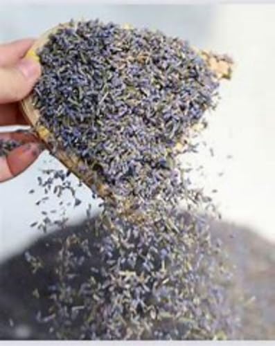 Flores Secas de Lavanda 42g Premium para Té y Cocina miniatura 5