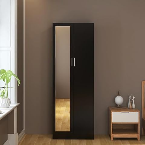 Panana 2 Doors Mirrored Wardrobe with Storage Cover