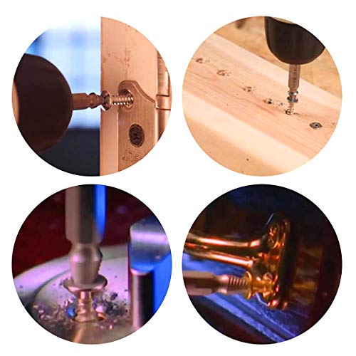 Newder Schraubenausdreher Set, 5 Stück Beschädigte Schraube Entferner Extraktor Set zum Entfernen leicht beschädigter Schrauben, Hergestellt aus HSS 4341 Härtegrad 62-63hrc