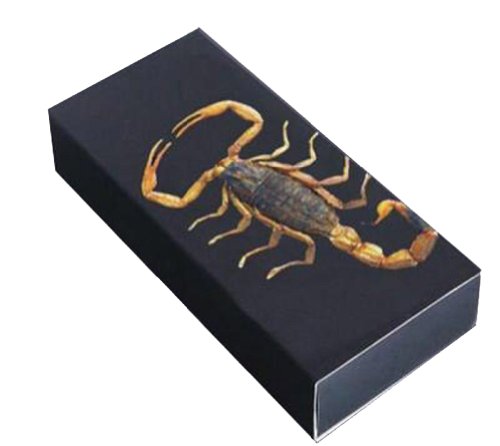 Glow In The Dark Lucite Rectangle Twisted Band Bracelet W/Genuine Golden Scorpion #TOP25