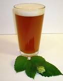 1 Gallon Beer Recipe (Scott's Red Ale)
