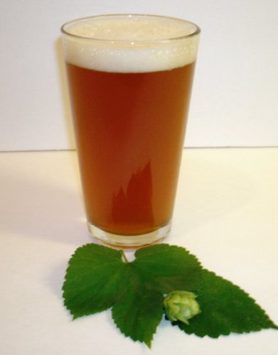 1 Gallon Beer Recipe (Scott's Red Ale) #TOP25
