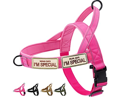 Eeyfarog No Pull Pettorina per cani di piccola taglia media e riflettente, regolabile senza treno, pettorina per cani (L, PINK)