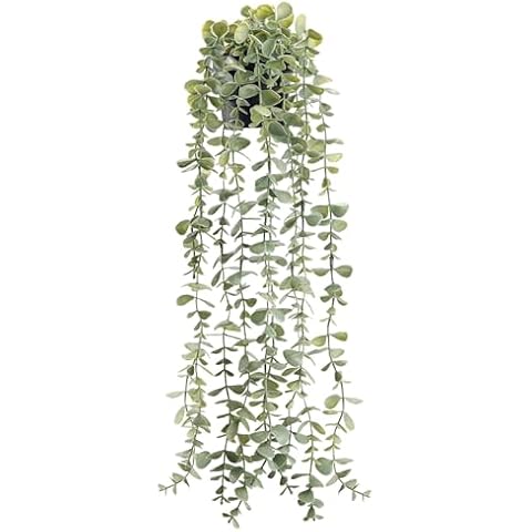 Der Rose 1 Pack Fake Plants Hanging Artificial Decor Faux Potted Eucalyptus Plants for Bathroom Home Shelf Bookcase Decor Indoor Cover