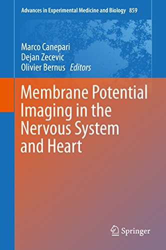 Membrane Potential Imaging in the Nervous System and Heart (Advances in Experimental Medicine and Biology Book 859)