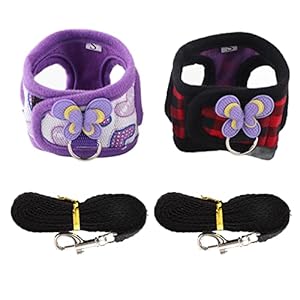 Pack of 2 Small Pet Harness with Bowknot and Bell Decor, No Pull Comfort Padded Vest Guinea Pig Striped Harness and Leash Set for Ferret, Rats, Iguana, Hamster, Bearded Dragon (S)