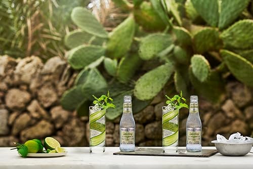 Image of Fever-Tree Sparkling Cucumber - Premium Low Calorie Mixer for Cocktails and Mocktails, 6.8 fl oz Bottles, Pack of 24 - Naturally Sourced, Non-GMO