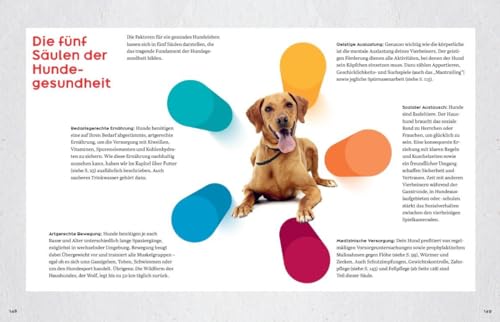 Oh Happy Dog!: Alles für ein glückliches, gesundes und nachhaltiges Hundeleben