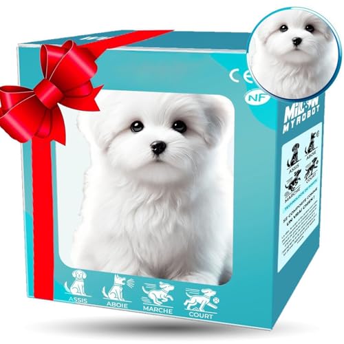 ���{�b�g���A2025�j���[�̎q���A���A���Ȏq���E�H�[�N�AAI�h�b�O - �E�H�[�L���O�A���̌����I�Ȏq���A�N���G�C�e�B�u�V�~�����[�V�����y�b�g�̂ʂ�����݂�������A�j�̎q�A���̎q�̂��߂� white