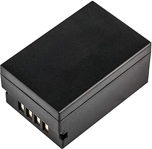 Batterie NP-T125 Lithium-ION idéale pour vos reportages et voyages photos