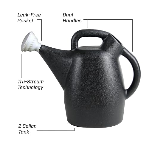 Image of CHAPIN 47998 2-Gallon Watering Can for Indoor & Outdoor Plants