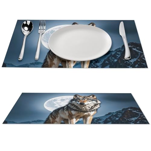 Set de table en PVC de qualité supérieure résistant et lavable en vinyle