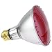 Industrial Performance 75PAR30L/H/FL/TPK 130V, 75 Watt, PAR30, Medium Screw (E26) Base Transparent Pink Light Bulb (1 Bulb)