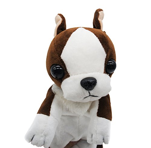 Artone Sfocato Collie Cane Matita Astuccio