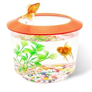 Pet Living – Carro armato di pesci rossi piccoli serbatoi di pesce e acquari, set up completo per bambini acquario per pesci rossi con ghiaia pianta ornamentale (arancione)