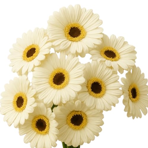 Image of Garden Art Artificial 5 Pcs Gerbera Flower Sticks, 33 cm, RealTouch Natural Looking | Silicone Decorative Bunch for Home GAAGFB-1H-33W (White)