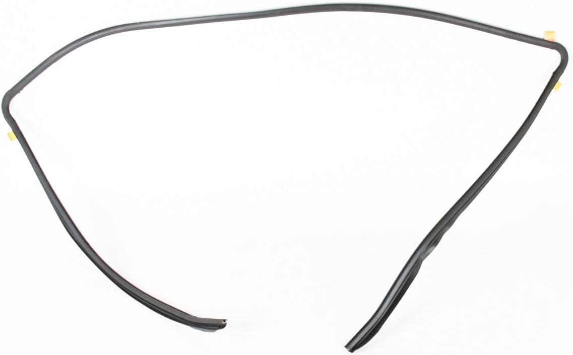 Genuine BMW Cabriolet E93 Windshield Upper Moulding Trim OEM 51317150646