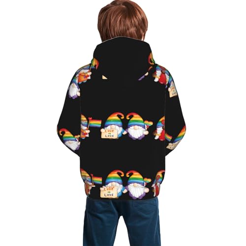 Lgbt Gnome Kid Hoodies Boys Sweatshirts Girls Pullover with Pocket4