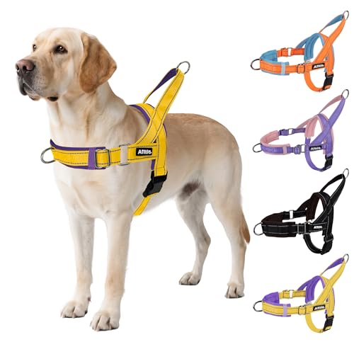 AIITLE Pettorina tattica anti-fuga migliorata per cani, regolabile su collo e petto, anti-tiro con impugnatura morbida imbottita, facile da usare per cani di grossa taglia Giallo-Viola L