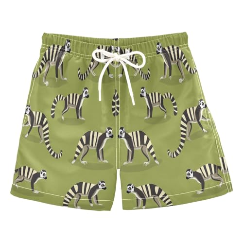 Jucciaco Boys Beach Board Shorts Lemur Animal Pattern Swim Trunk Teen Swimwear Multicolor