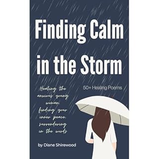Finding Calm in the Storm Audiolibro Por Diane Shirewood arte de portada