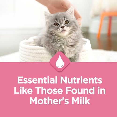 Kitten Chow Dry Kitten Food, Advanced Nutrition with Real Chicken - 1.8 kg Bag image 6