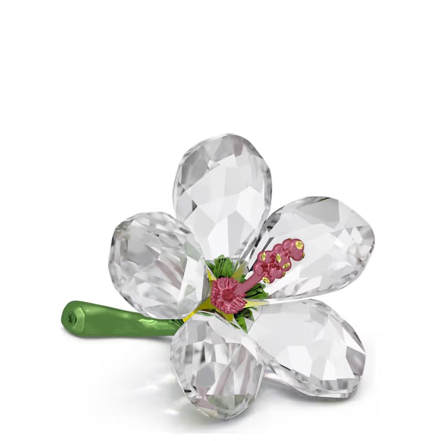 Amazon.com: Swarovski Small Florere Hibiscus : Home & Kitchen