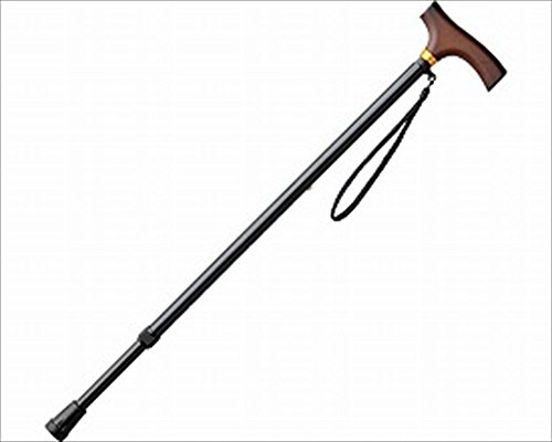 ecR[|[V A~XebL׌^(Lk) 6010-4811 