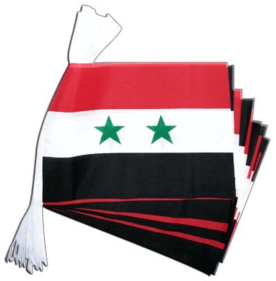 Guirlande drapeau Syrie Digni de 5,9 mètres pour décoration et événements